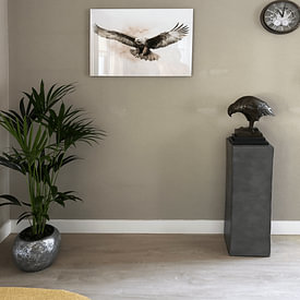 Kundenfoto: Adler | Eagles von ARTEO Gemälde, auf Acrylglas