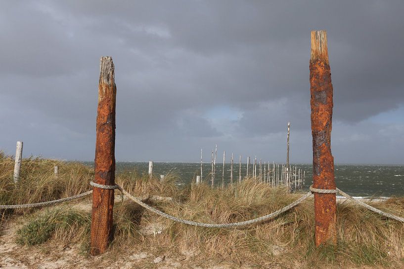 Rotte palen in het duinlandschap op texel van Arjan Groot