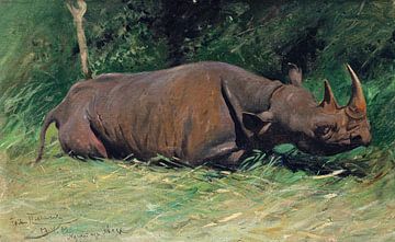 Rhinoceros, Wilhelm Kuhnert, 1906 by Atelier Liesjes