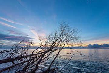 Oostzeekust bij zonsondergang op het eiland Mön in Denemarken van Rico Ködder