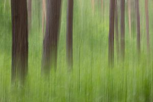 Peinture abstraite d'arbres avec des fougères vertes en dessous