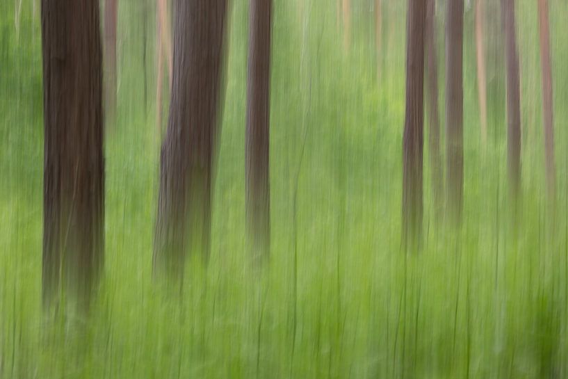 Abstract painting of trees with green ferns underneath by Silvia Thiel