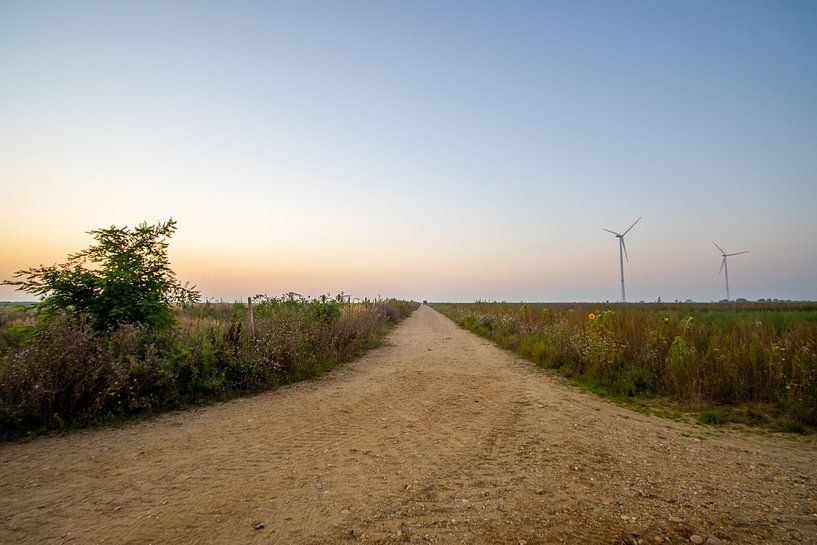 Field path at sunset by Michael Ruland
