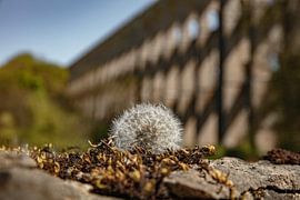 Chaumont-Viadukt von anne droogsma