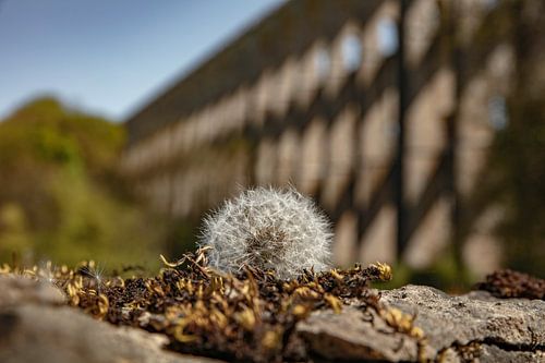 chaumont viaduc van anne droogsma