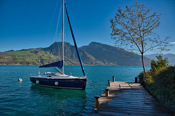 Het meer van Thun in Zwitserland van Tanja Voigt