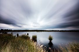 Dwingelderveld National Park by Eddy Westdijk