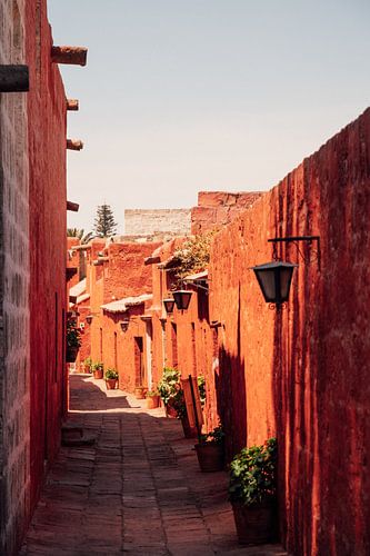 Alley at the Santa Catalina Monastery Arequipa Peru