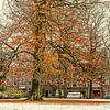 Wintersneeuw in de herfst in Groningen van Patricia Hofmeester
