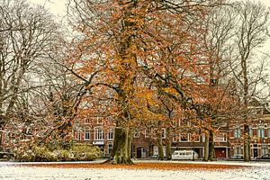 Winterschnee im Herbst in Groningen