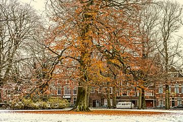 Winter snow in autumn in Groningen
