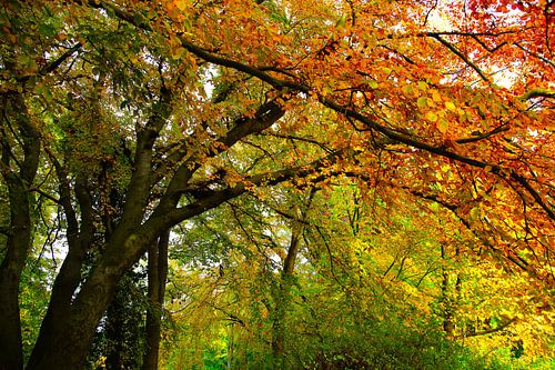 Herbst