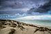 Hollandse duinen | Texel van Ricardo Bouman