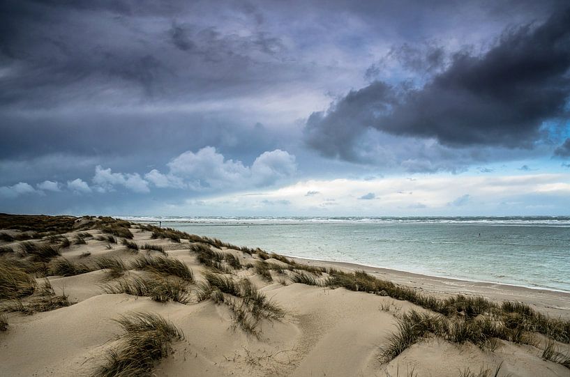 Hollandse duinen | Texel van Ricardo Bouman