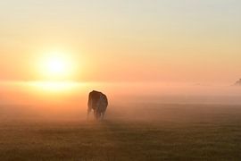 Märchenhafter Sonnenaufgang im Landschaft. von Shutterbalance