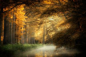 Ein sonniger Tag