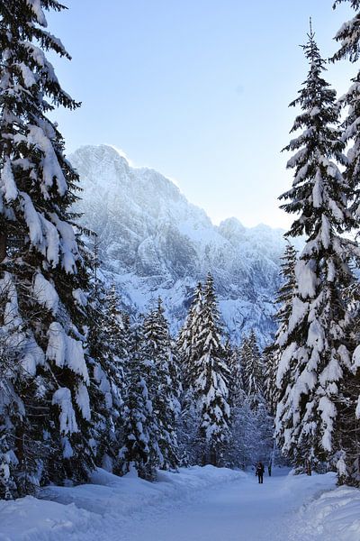 The Mountain Collection | Winterroad van Lot Wildiers Photography