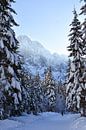 The Mountain Collection | Winterroad van Lot Wildiers Photography thumbnail