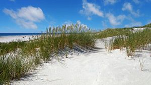 Sur la longue plage de l'île d'Amrum
