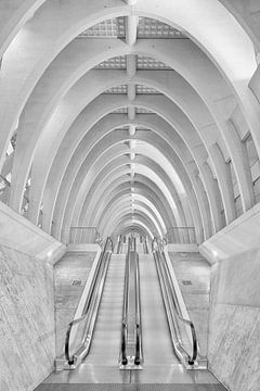 Escalators - Moderne Architektur von Rolf Schnepp