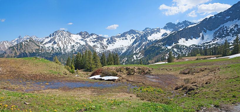 spring landscape at Fellhorn mountain, small creek and kingcups, by SusaZoom