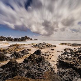 Conchi Aruba by Harold van den Hurk