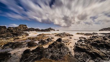 Conchi Aruba by Harold van den Hurk