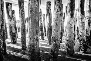 Schwarze Palisaden am Meer