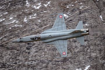 Een Northrop F-5E van de Zwitserse Luchtmacht. van Jaap van den Berg