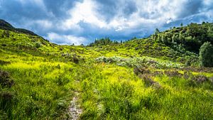 Glooiende heuvel in Glenfinnan