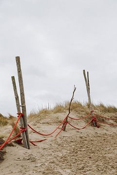 De strandpalen langs de Vriendschap, de veerboot van Texel naar Vlieland | Strand en zee fotografie 
