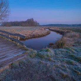 Brug over de Reest van Douwe Schut