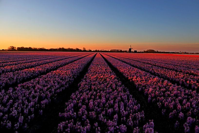 Zonsopkomst bij Schagerbrug by peterheinspictures