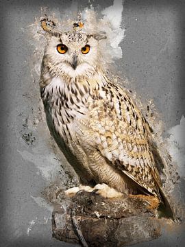 painting eagle-owl-raptor-falconry-owl-hs53977 van HMS