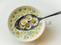spoonful of nature