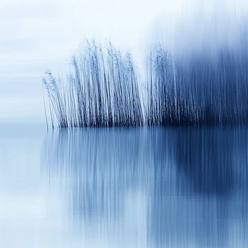 Blauw riet