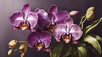 Enchanted Orchid Elegance
