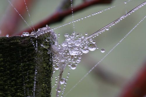 Mistdruppels aan een paal