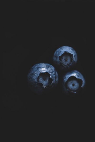 Blaubeeren von Foto Studio Labie