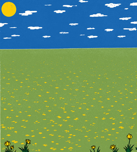 Prairie ensoleillée parsemée de fleurs jaunes