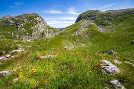 Durmitor N.P. by Antwan Janssen