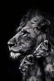 Lion close-up by MNS Designs