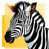 Zebra von Kay Weber