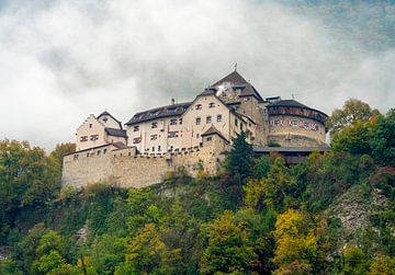 Kasteel Vaduz in Liechtenstein van Achim Prill