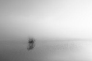 Vom Fluss IJssel aufsteigender Nebel an einem kalten Wintermorgen