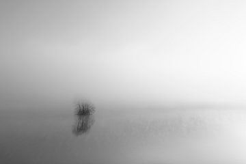 Mist die opstijgt uit de IJssel tijdens een koude winterochtend van Sjoerd van der Wal Fotografie