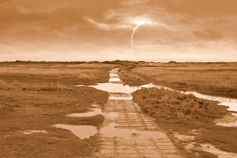 The Slufter after a rain shower in sepia by Jose Lok