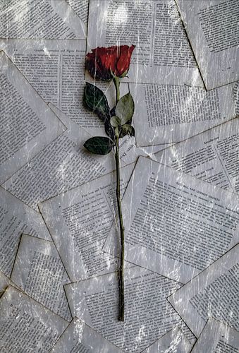 Time is Love