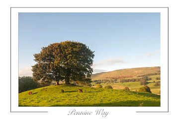 Pennine Way van Richard Wareham