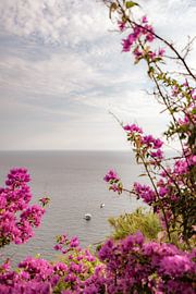 Blick während der Wanderung Moterosso, Cinque Terre - Italien von Tessa Hoogenboezem